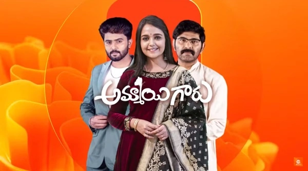 Ammayi Garu Serial